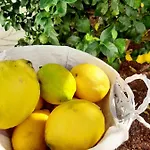 Finca La Barca Konukevi 3*