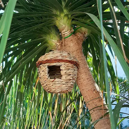 Finca La Barca 3*