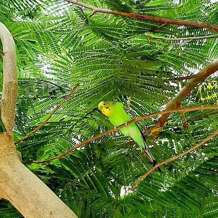 Finca La Barca Konukevi