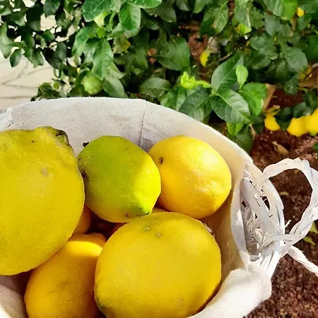 Finca La Barca Maison d'hôtes 3*
