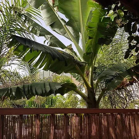 Finca La Barca Konukevi