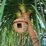 Finca La Barca 3*
