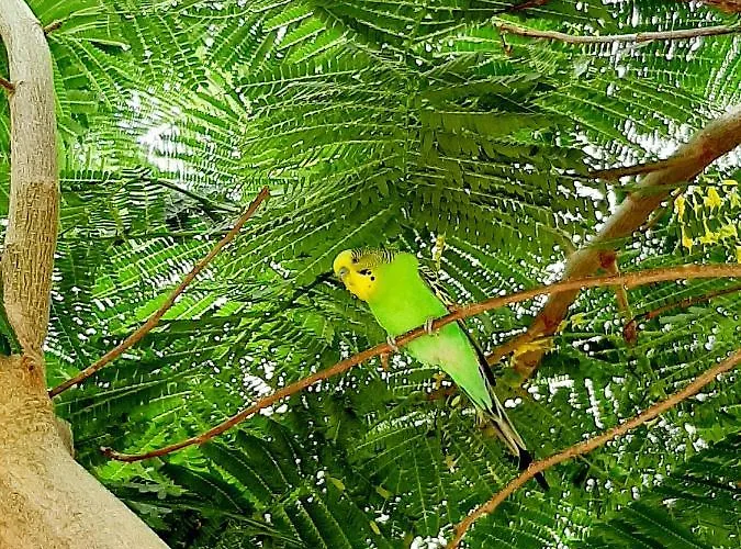 Finca La Barca בית הארחה