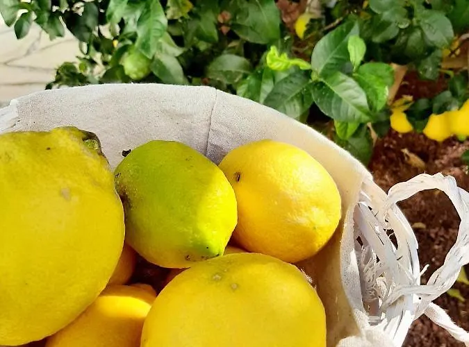 Finca La Barca Maison d'hôtes 3*